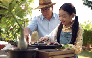 10 Generational Wealth Transfer Tips